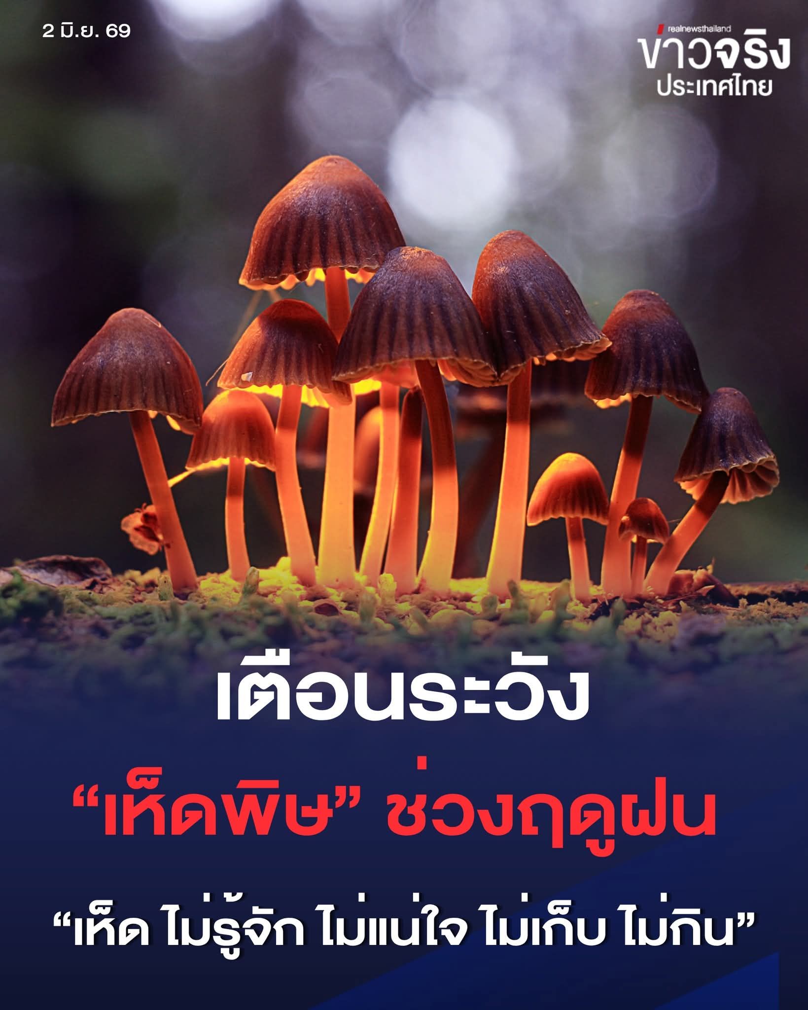 กรมควบคุมโรค เตือนระวัง &ldquo;เห็ดพิษ&rdquo; ช่วงฤดูฝน ย้ำยึดหลัก &ldquo;เห็ด ไม่รู้จัก ไม่แน่ใจ ไม่เก็บ ไม่กิน&rdquo;